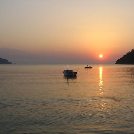 Adrasan Kybele Hotel エクステリア 写真